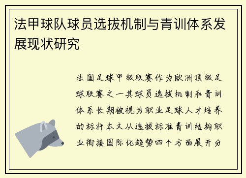 法甲球队球员选拔机制与青训体系发展现状研究